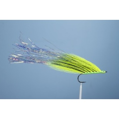 JMC Broc 11 H4/0 Mosca carnívora JMC Broc 11 H4/0