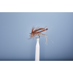 Mosca terrestre JMC Cousin 10 BL H10