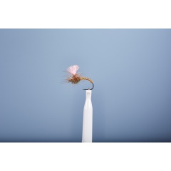 Mosca emergente JMC Dc 3 BL H16