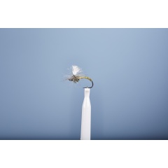 Mosca emergente JMC Dc 4 BL H16