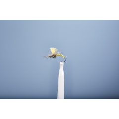 Mosca emergente JMC Dc 6 BL H12