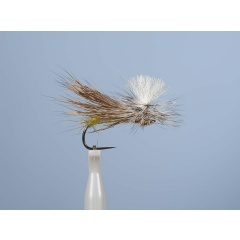 Mosca emergente JMC Dc 70BL H10