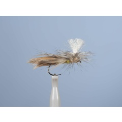 Mosca emergente JMC Dc 71BL H14