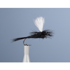 Mosca emergente JMC Dc 8 BL H14