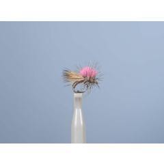 Mosca emergente JMC Dc 85 H14