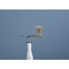 Mosca emergente JMC Dc 101 BL H16