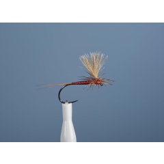 Mosca emergente JMC Dc 103 BL H12