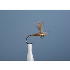 Mosca emergente JMC Dc 104 BL H16