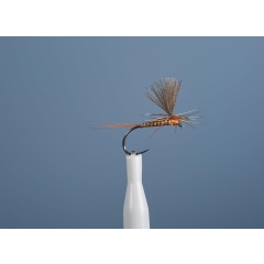 Mosca emergente JMC Dc 105 BL H16