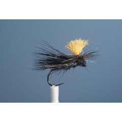 Vuelo seco JMC DC 36 BL H10