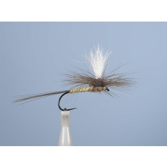 Mosca emergente JMC Dc 53BL H10