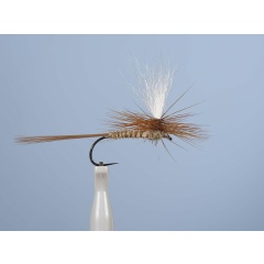 Mosca emergente JMC Dc 54BL H10