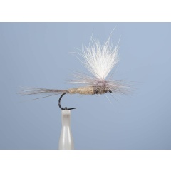 Mosca emergente JMC Dc 55BL H10