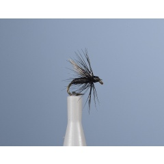 JMC Fo 1 H18 Vuelo de la Tierra