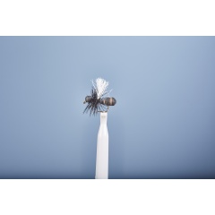 Vuelo de la Tierra JMC FO 21 H14