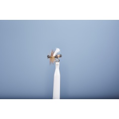 Vuelo de la Tierra JMC FO 22 H16