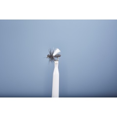 Vuelo de la Tierra JMC FO 23 H16