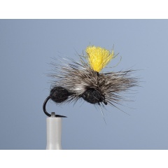 JMC Fo 4 H14 Vuelo de la Tierra