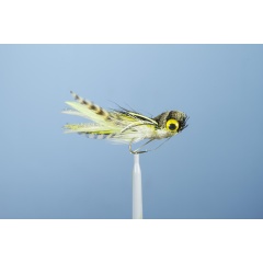 La Rana Voladora JMC 1 H10