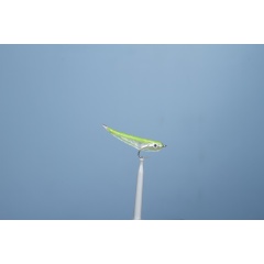 JMC Gummy Sea Streamer Fly 6 H 8