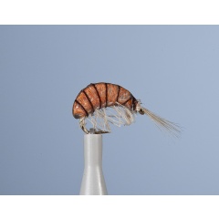 Nymph Fly JMC Jcc 100 H16