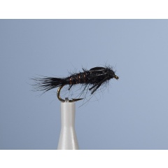 Ninfa voladora JMC Jcc 105 H12