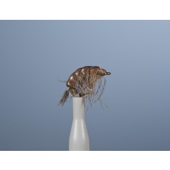 Ninfa voladora JMC Jcc 132 H14