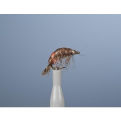 Ninfa voladora JMC Jcc 133 H14