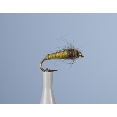 Ninfa voladora JMC Jcc 16 H14