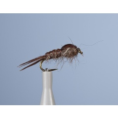 Ninfa voladora JMC Jcc 17 H14