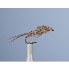 Ninfa voladora JMC Jcc 38 H12