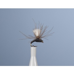 Mosca emergente JMC JMC 15 H18