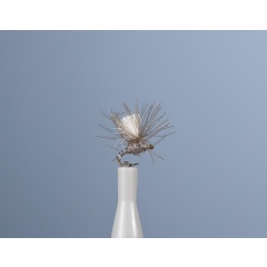 Mosca emergente JMC JMC 16 H22