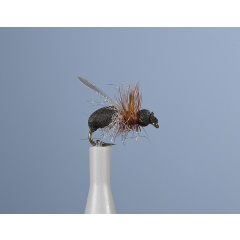 Vuelo de la Tierra JMC JMC 17 H18