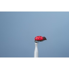 JMC Ground Fly JMC Beetle H14