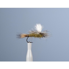 Mosca emergente JMC JMC 26 H20