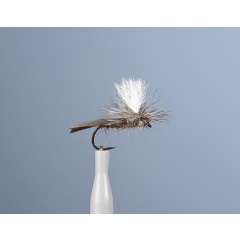 Mosca emergente JMC JMC 65 H16