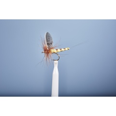 JMC Dry Fly JMC Mayo 104 H10