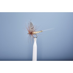 JMC Dry Fly JMC Mayo 100 H10