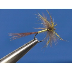 Casco de 3 moscas de mayo