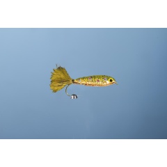 JMC Minnow 1 H6 Mosca carnívora