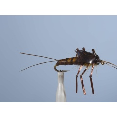 Fly Nymph JMC Ny 26 H10