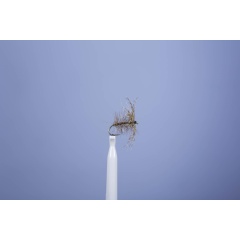 JMC Palmer Fly 10 H16