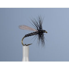 Vuelo de la Tierra JMC Ph 14 H14