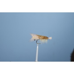 JMC Popovics Mosca de Mar JMC Popovics Camarones H1