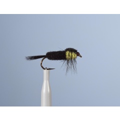 Mosca carnívora JMC Montana St 31 H10