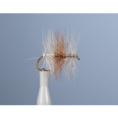 JMC Tricolor Fly JMC Tricolor Claire H18