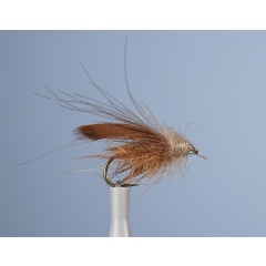 Sedge Fly JMC ZC 10 H12