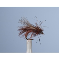 Fly Sedge JMC ZC 13 Brown H18