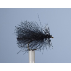 Sedge Fly JMC ZC 40 H18